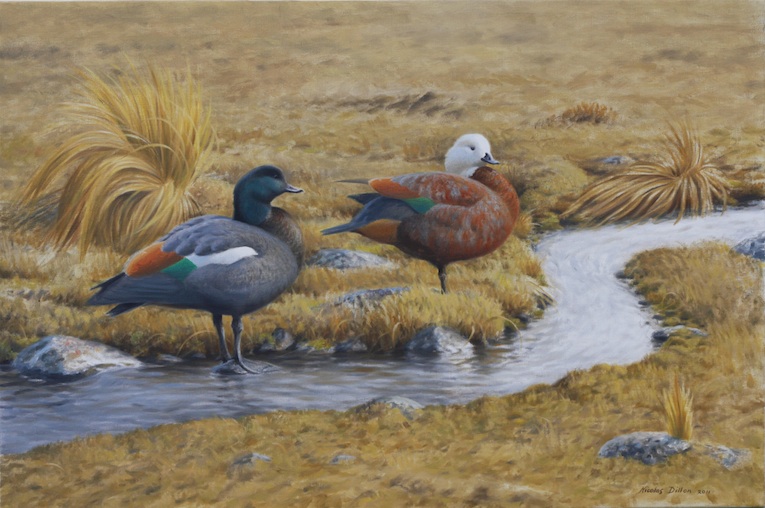 Nicolas Dillon |   In the Late Summer Paradise Ducks |McATamney Gallery|  Geraldine Nz
